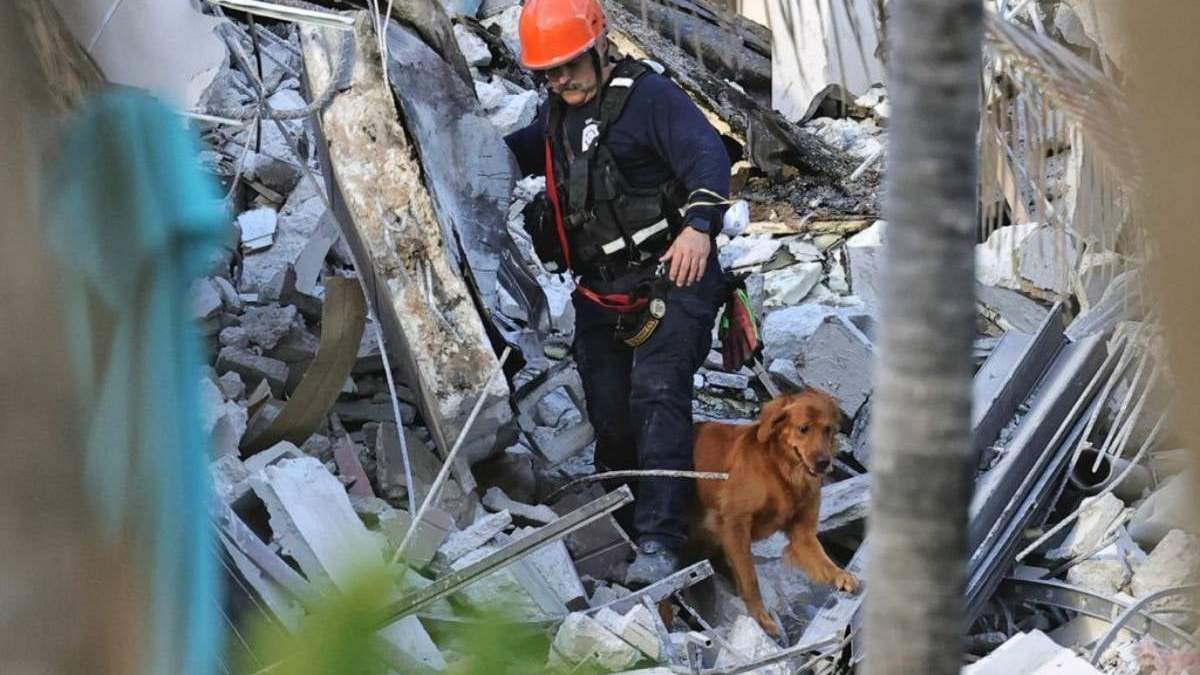 Personal de rescate de bomberos auxiliado por perros realiza una búsqueda a través de los escombros del condominio Champlain Towers South