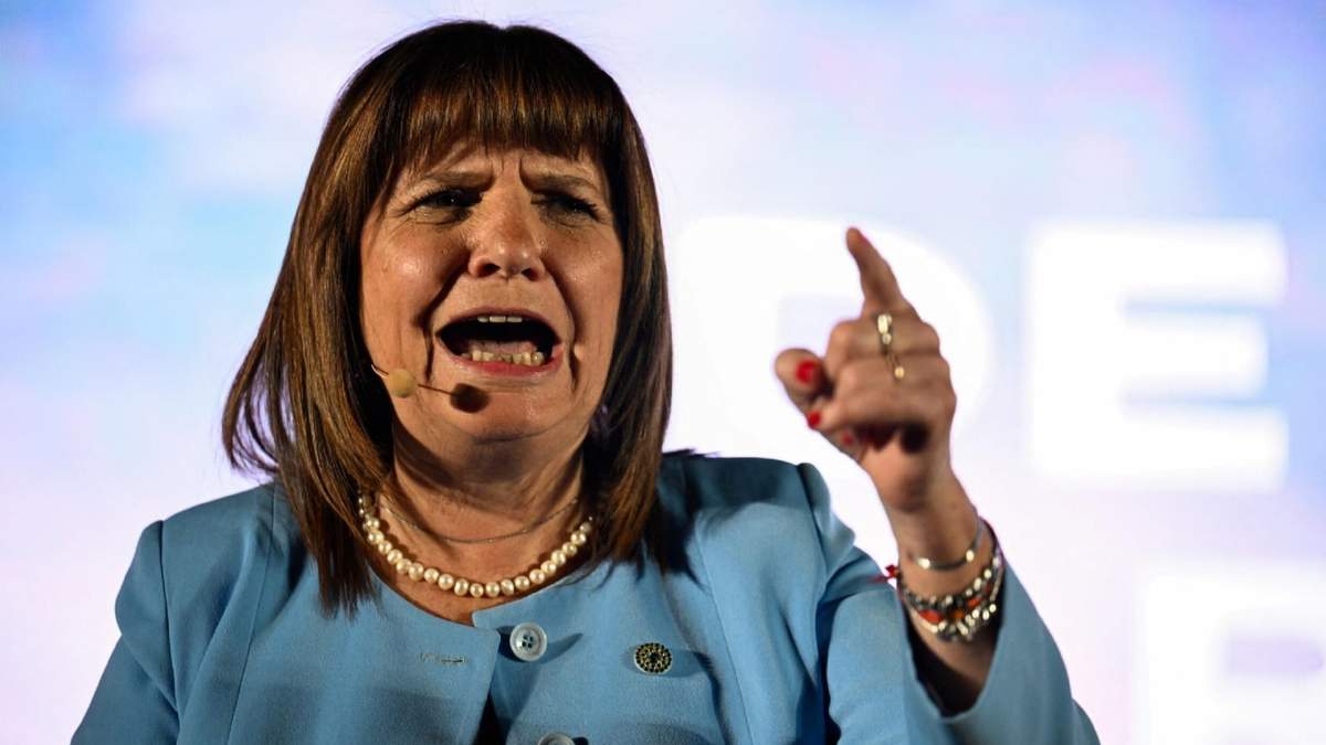 Patricia Bullrich defendió el ajuste de Milei. Fuente: (Twitter)