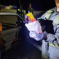 Detienen a tres personas en Senillosa con más de un kilo de cocaina oculta en paquetes de galletitas