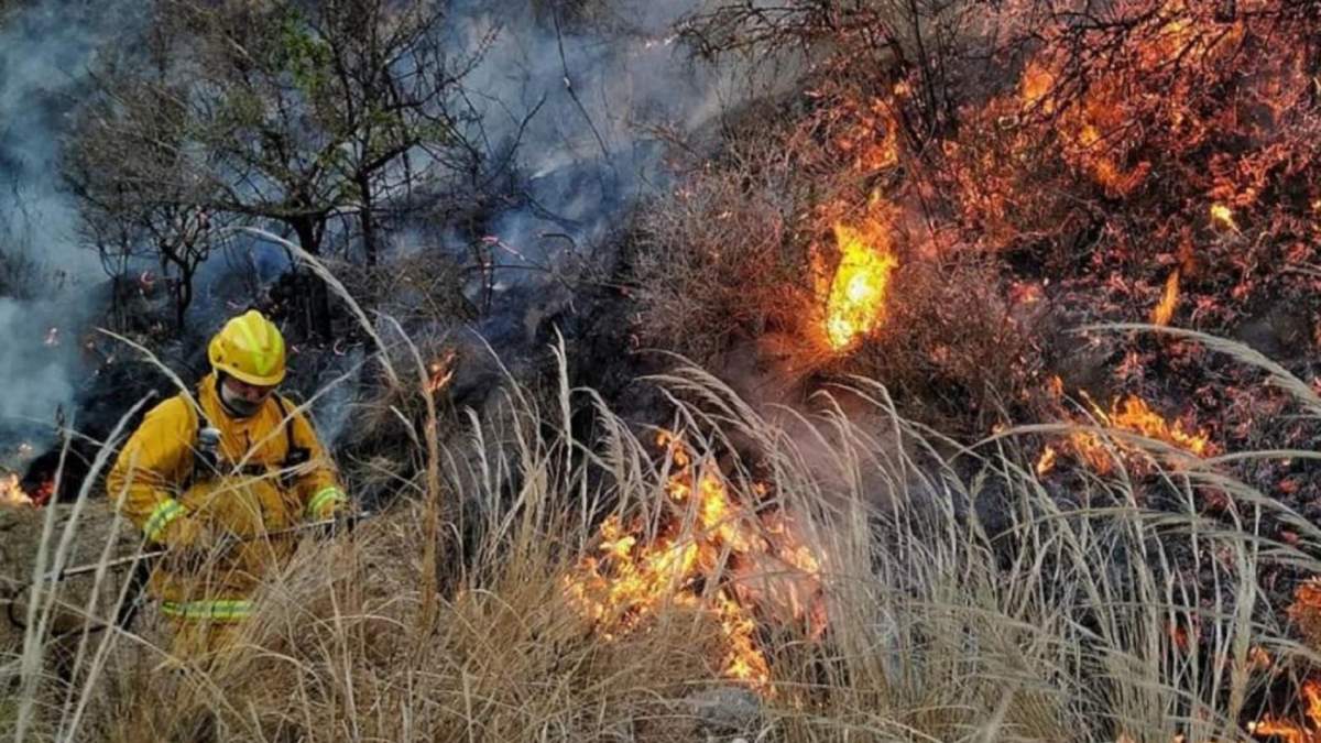 Incendios en Córdoba. Fuente: (Twitter)