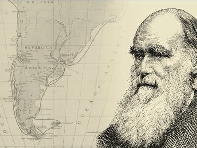 Charles Darwin y el concepto de la evolución: un pensamiento revolucionario