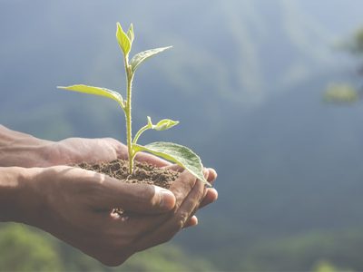 Neuquén firmó un acuerdo con PAE y Amigos de la Patagonia destinado al cuidado del medio ambiente