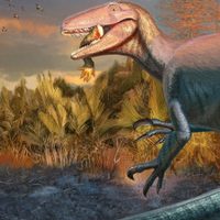 Impresionante hallazgo de restos de un dinosaurio de siete metros en Chubut