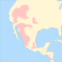 Ascendencia mexicana en California datada hace unos 5 mil 200 años