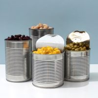 No tires las latas de conserva vacías: armá este proyecto útil y decorativo para tu casa o jardín