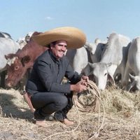 "La ley de monte", la película más conocida de Vicente Fernández