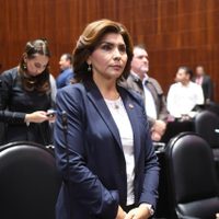PAN exige a Marina del Pilar que solicite licencia para ser investigada