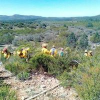 Hallan el cadáver de un excursionista extraviado en la Sierra Juárez