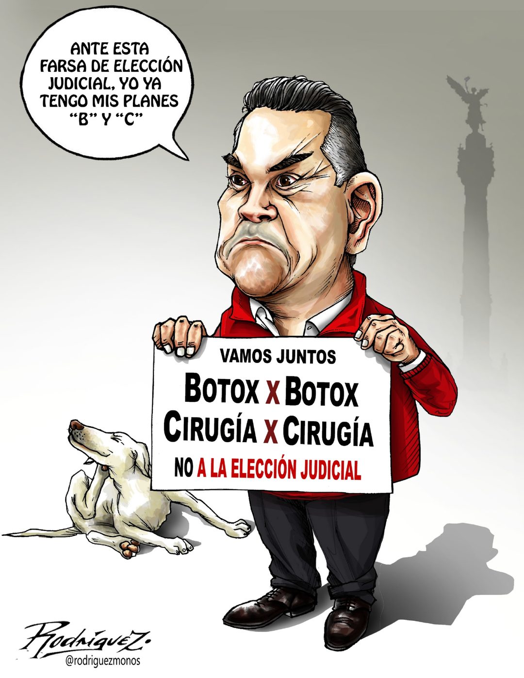 la lucha sigue