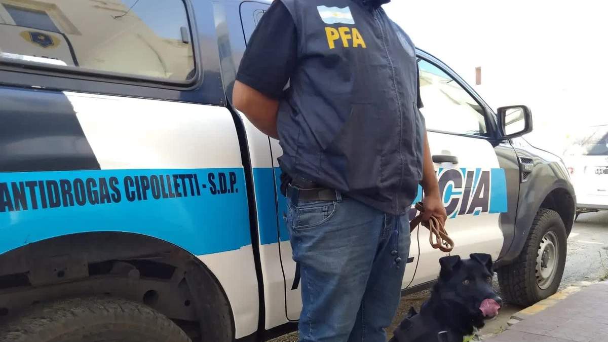 Oficial de la PFA en un operativo de Cipolletti. Fuente:(Twitter)