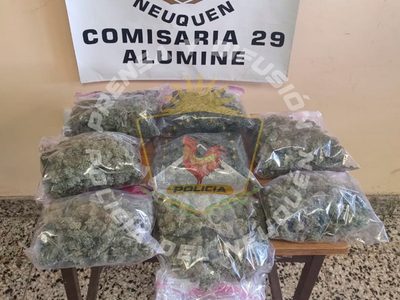 Encontraron 1 kilo de marihuana que había llegado por enconmienda hasta la terminal de Aluminé