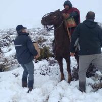 Tras el temporal de nieve, asisten a pobladores rurales en El Cholar