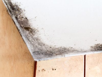 El infalible secreto de la abuela para eliminar las manchas de moho en el techo de tu baño y dejarlo como nuevo