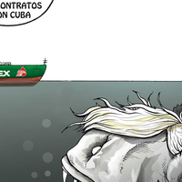 "Solidaridad en reversa"