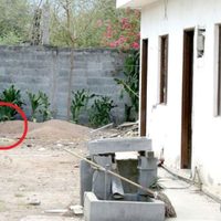 Monterrey: encuentran muerta y enterrada a una jovencita reportada como desaparecida