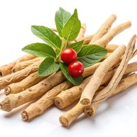 Ashwagandha al rescate: cómo esta planta milenaria puede equilibrar tus niveles de estrés