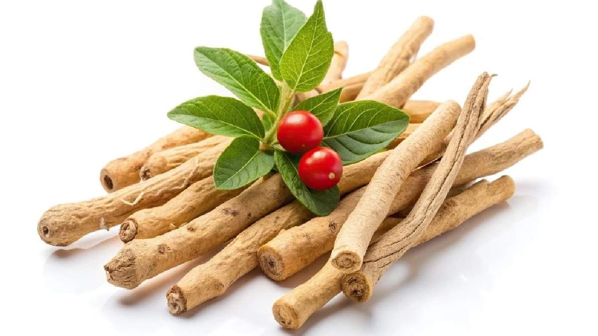 Ashwagandha. Fuente: (Instagram)