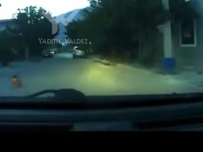 Se viraliza video de un bebé que gatea en medio de la calle en Nuevo León
