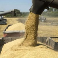 Dólares del campo: el agro aportaría más de u$s36.000 millones por la nueva campaña récord