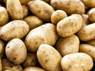 El truco de los chefs para conservar las papas más tiempo en el congelador: quedan crujientes y ricas