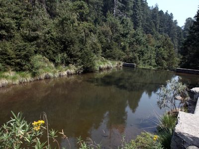 La Conagua alerta sobre riesgos potenciales de inundaciones por saturación en 75 presas