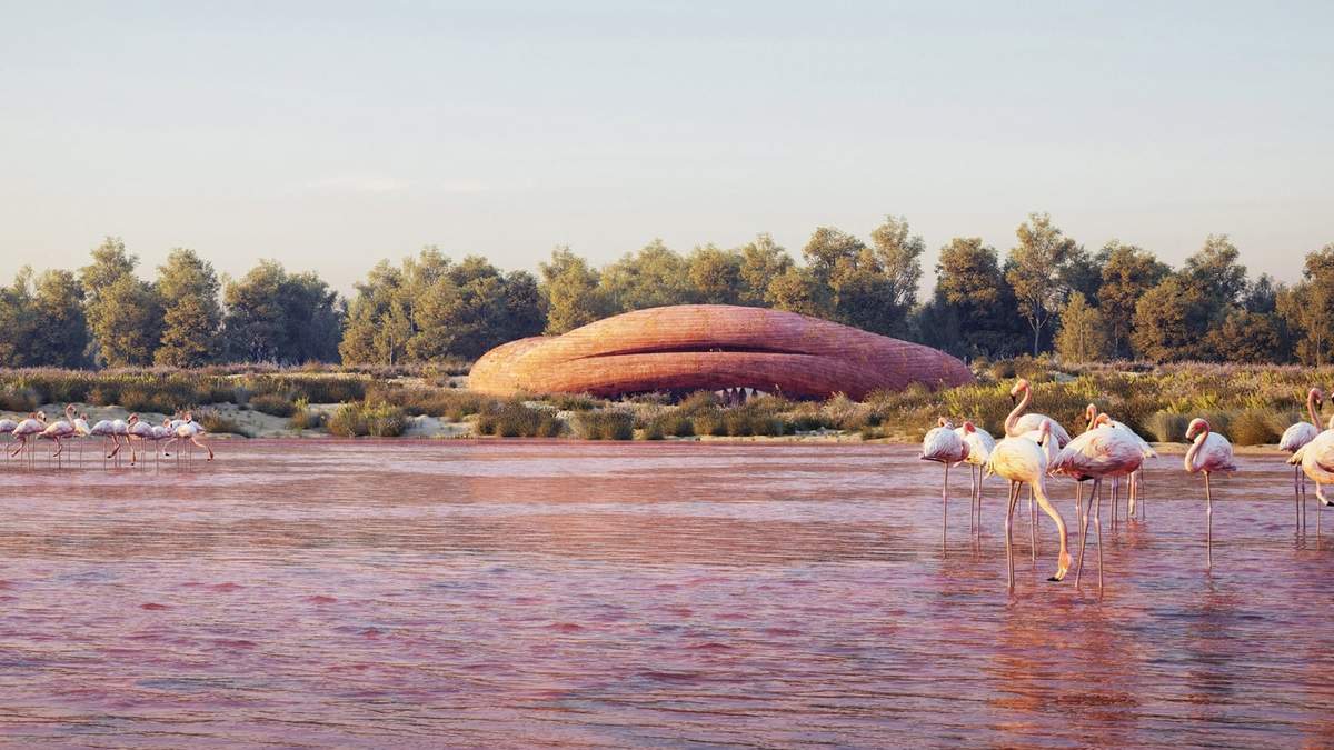 Nuevo centro de interpretación de la naturaleza en los Emiratos Árabes. Fuente: (Instagram)