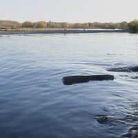 El nuevo Paseo Costero pondrá en evidencia una cruda realidad