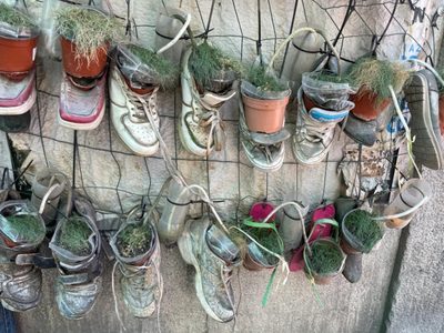 No tires los zapatos viejos o rotos: mirá cómo convertirlos en las macetas más creativas