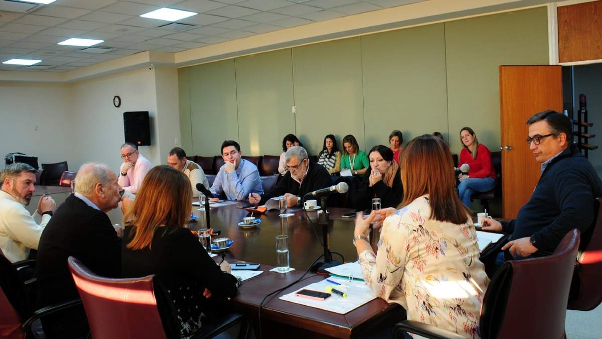 La comisión trató la cesión de tierras al club Lácar. Fuente: (Legislatura de Neuquén)