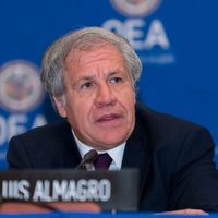 Preocupa a la OEA la violencia en el proceso electoral de México