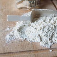 Casi inevitable: aumentaron las retenciones a la exportación de harina y aceite de soja
