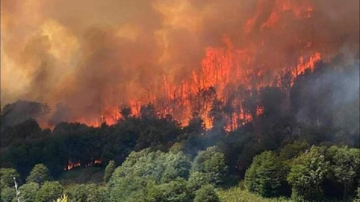 Para el gobierno, los incendios en Valle Magdalena están absolutamente descontrolados. Fuente: (Patagonia Press)