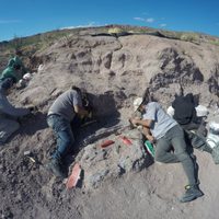 El Chocón: hallaron a un nuevo dinosaurio en Neuquén