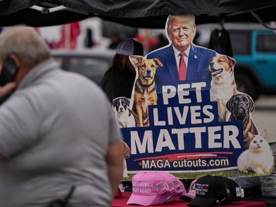 Elecciones en Estados Unidos: empate técnico con cierta ventaja republicana en estados clave