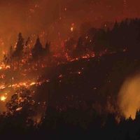 200 casas arrasadas y 30 heridos: la actualidad del devastador incendio en El Bolsón