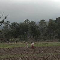 Alberto Cortés documenta "El maíz en tiempos  de guerra"
