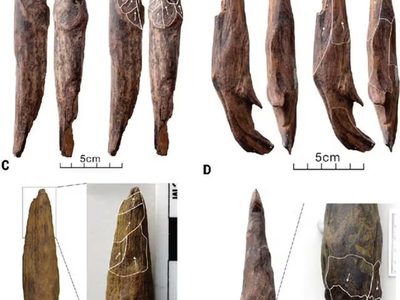 Sin precedentes: descubren herramientas de hace 300 mil años
