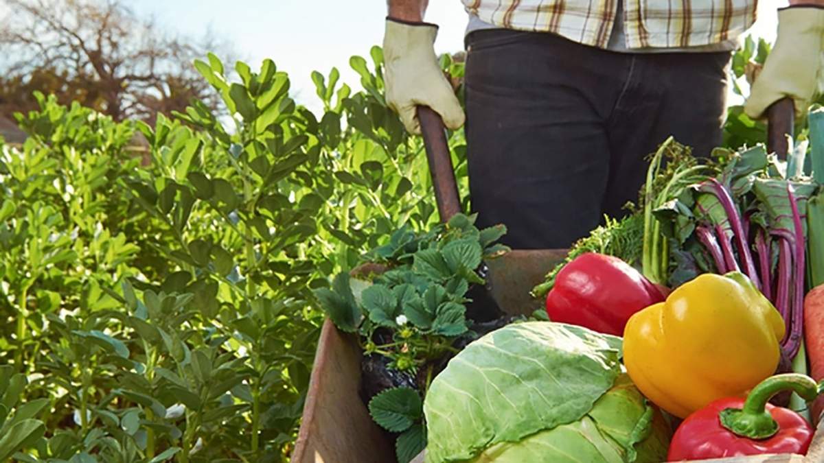 Fomento a la Agricultura Familiar, Fuente: (Twitter)