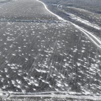 Ucrania y Rusia intercambian reportes de muertos durante la guerra