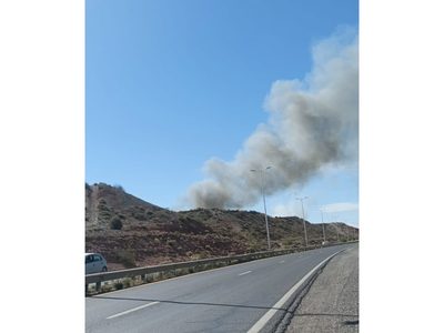 La ciudad de Centenario se cubrió de humo negro por un incendio en un centro de acopio de residuos en la meseta