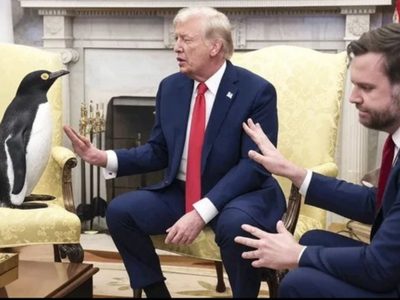 Trump impone aranceles a islas habitadas sólo por pingüinos. Las redes reaccionan con memes