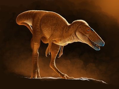 El nuevo tiranosaurio que reescribe la historia del T-rex