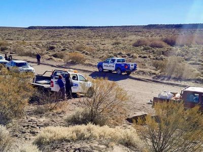 Guardafaunas de Neuquén secuestraron piezas producto de actividad furtiva en varios puntos de la provincia