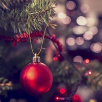 Navidad ecológica: comida y decoración amigable con el medioambiente