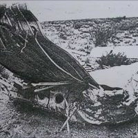 A 50 años de la tragedia del Avro: Cutral Co y Plaza Huincul rinden homenaje a las víctimas