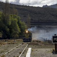 El tren nocturno de la Patagonia que deslumbra con paisajes, música y gastronomía: cuánto cuesta