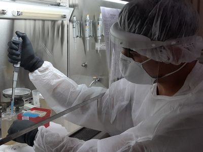 Hallaron la variante Delta del coronavirus en aguas residuales: qué dicen los expertos