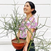 Hermosa, pero peligrosa: cuál es la exótica planta de interior que todos quieren tener