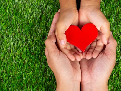 Día de la Donación de Órganos: una fecha para tomar conciencia y salvar vidas