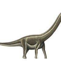 La epidemia que extinguió a los dinosaurios en Brasil